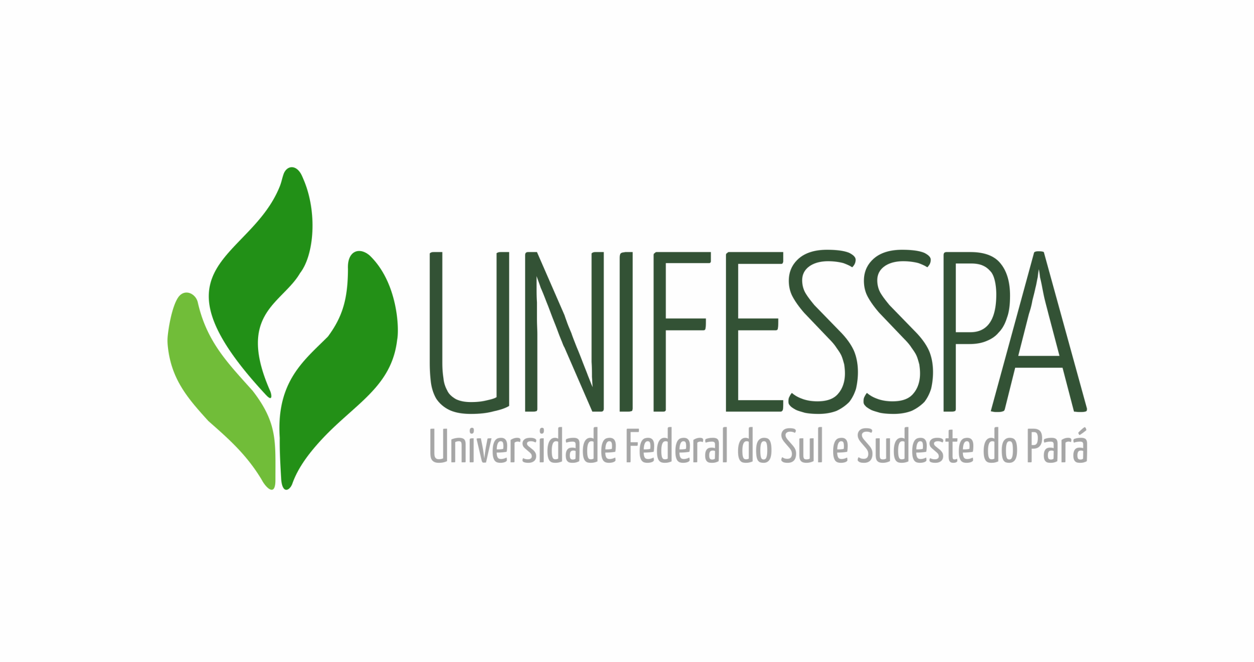 UNIVERSIDADE FEDERAL DO SUL E SUDESTE DO PARÁ